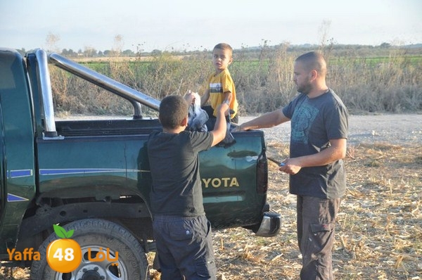 7amam lud monir 908 (36).JPG